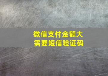 微信支付金额大 需要短信验证码